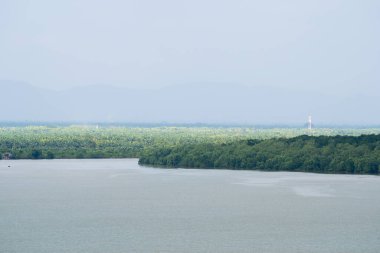 Mangrov ormanı ve nehir manzarasının sahil manzarası. Deniz manzaralı, palmiye ağacı ve balıkçı köyü. Adanın güzel doğal manzarası