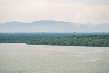 Mangrov ormanı ve nehir manzarasının sahil manzarası. Deniz manzarası, palmiye ağacı, balıkçı köyü ve dağ. Tekne denizde yüksek hızda ilerliyor.
