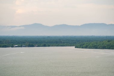 Mangrov ormanı ve nehir manzarasının sahil manzarası. Deniz manzarası, palmiye ağacı, balıkçı köyü ve dağ. Tekne denizde yüksek hızda ilerliyor.