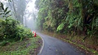 POV sabah sisli yağmur ormanlarında çimento yolunda hareket ediyor. Sisli tropikal ormanda dar yol boyunca eğlenceli sürüş. Fraser Tepesi, Malezya