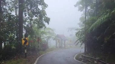 POV sabah sisli yağmur ormanlarında çimento yolunda hareket ediyor. Sisli tropikal ormanda dar yol boyunca eğlenceli sürüş. Fraser Tepesi, Malezya