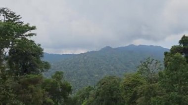 Dağ sıraları ve ağaçlar arabanın camından içeri giriyor. Bereketli yeşil dağların yan manzarası. Dağ yolundaki tropik orman ağaçları arasında uçan hava manzarası.