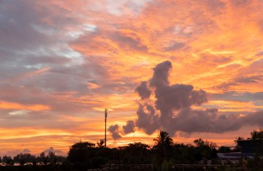 Gökyüzünde canlı turuncu, kırmızı ve mavi renkler, siluetli ağaçlar ve bulutlar ile güzel bir günbatımı sahnesi huzur verici ve dehşet verici bir atmosfer yaratıyor..