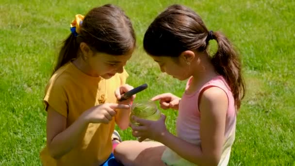 Child Explores Nature Magnifying Glass Jar Selective Focus Kid — Stock Video