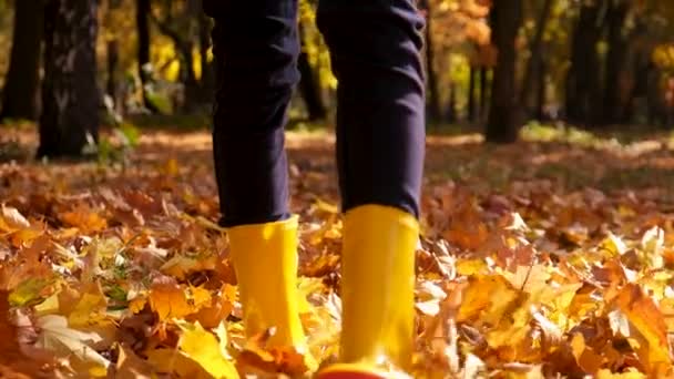 Ett Barn Går Hösten Med Gula Löv Selektivt Fokus Natur — Stockvideo
