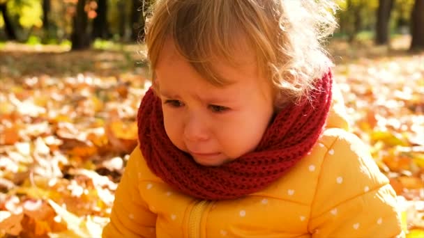 那孩子在秋天的公园里哭 有选择的重点 — 图库视频影像