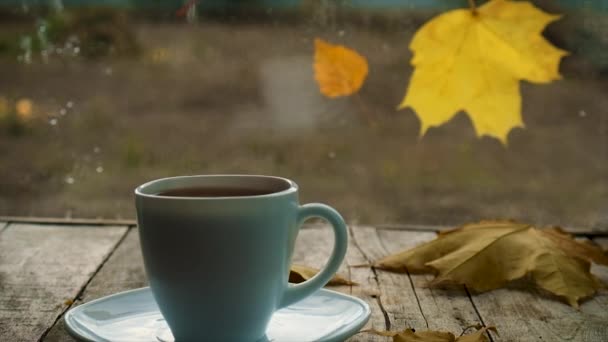 Чашка Чая Мокром Осеннем Окне Выборочный Фокус Напитки — стоковое видео