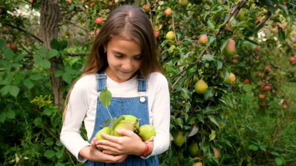 Enfant Cueille Des Poires Dans Jardin Concentration Sélective Produits Alimentaires — Video