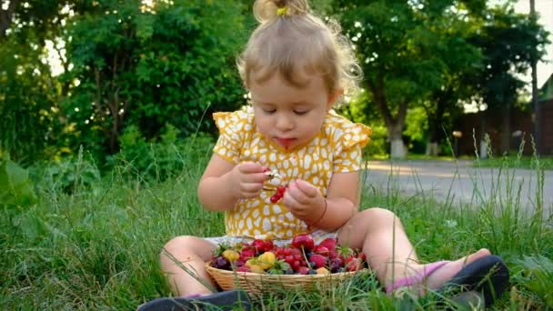 아이는 정원에서 딸기를 먹습니다 선택적 집중입니다 어린이 — 비디오