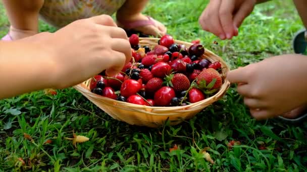 Barnet Äter Olika Bär Trädgården Selektivt Fokus Grabben — Stockvideo