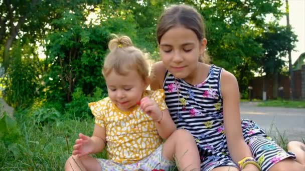 Enfant Mange Différentes Baies Dans Jardin Concentration Sélective Enfant — Video