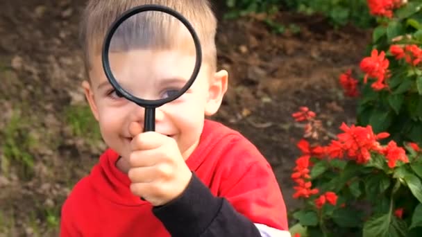 Een Kind Verkent Natuur Met Een Vergrootglas Selectieve Focus Jongen — Stockvideo