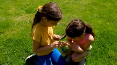 Bir çocuk kavanozdaki büyüteçle doğayı keşfeder. Seçici odaklanma. Çocuk.