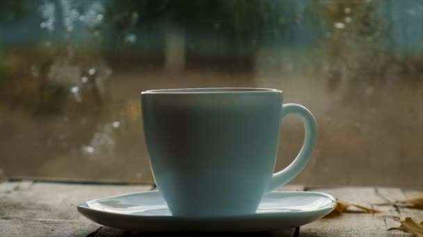 Ένα Φλιτζάνι Τσάι Ένα Υγρό Παράθυρο Του Φθινοπώρου Επιλεκτική Εστίαση — Αρχείο Βίντεο
