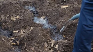 Bir kadın bahçeye su döker. Seçici odaklanma. İnsanlar.