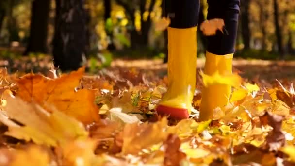 Ein Kind Läuft Herbst Mit Gelben Blättern Vorbei Selektiver Fokus — Stockvideo