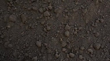 Toprak arka planda video yakın plan. Seçici odaklanma. Doğa.