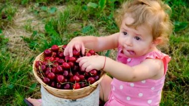 Çocuk bahçede kiraz yiyor. Seçici odaklanma. Çocuk.
