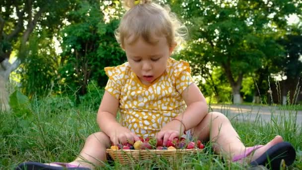 Das Kind Isst Garten Verschiedene Beeren Selektiver Fokus Kind — Stockvideo