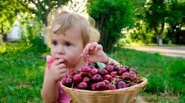 Çocuk bahçede kiraz yiyor. Seçici odaklanma. Çocuk.