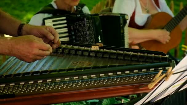 Музыкант Играет Тарелках Выборочный Фокус Люди — стоковое видео