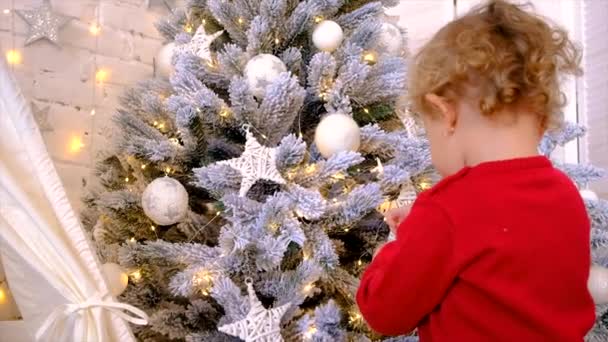 Enfant Accroche Une Décoration Sur Sapin Noël Concentration Sélective Vacances — Video