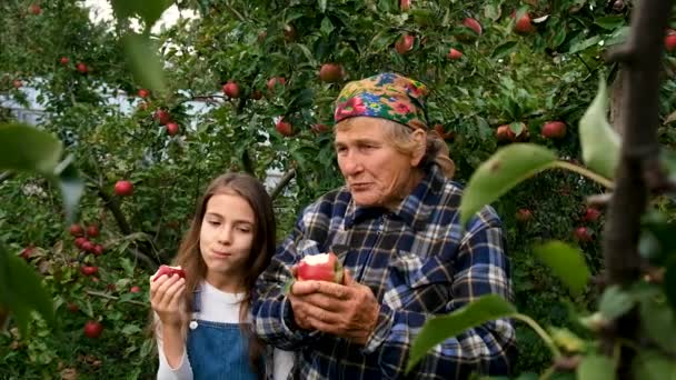 Γιαγιά Και Παιδί Τρώνε Μήλα Στον Κήπο Επιλεκτική Εστίαση Τρόφιμα — Αρχείο Βίντεο