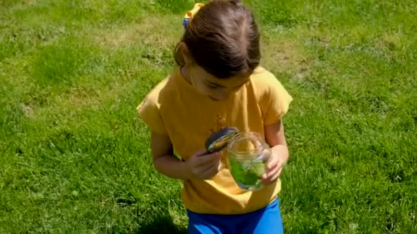 Een Kind Verkent Natuur Met Een Vergrootglas Een Pot Selectieve — Stockvideo