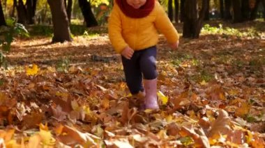 Sonbaharda bir çocuk sarı yapraklarla birlikte yürür. Seçici odaklanma. Doğa.