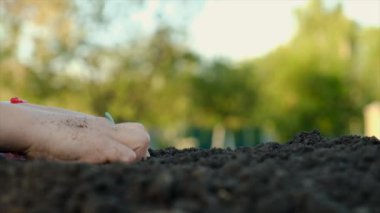 Çocuk bahçeye bir bitki ekiyor. Seçici odaklanma. Doğa.