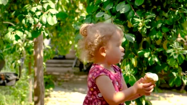 Enfant Mange Glace Dans Parc Concentration Sélective Enfant — Video