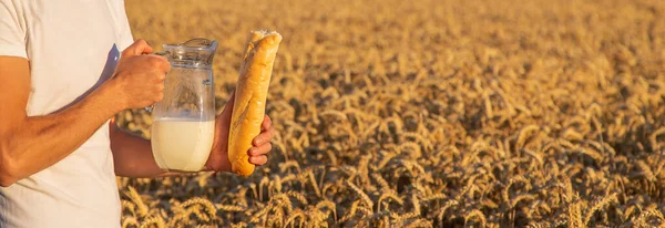 Человек Молоком Хлебом Пшеничном Поле Выборочный Фокус Человек — стоковое фото