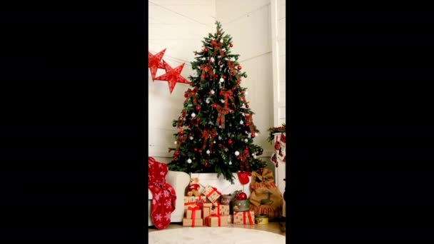 Julplats Med Träd Vertikal Selektivt Fokus Vit — Stockvideo