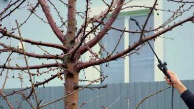 Çiftçi bahçedeki ağaçları işliyor. Seçici odaklanma. Doğa.