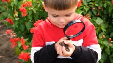 Çocuk toprağı bir büyüteçle inceliyor. Seçici odaklanma. Çocuk.