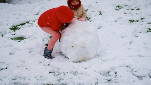 Діти Роблять Сніговика Снігу Вибірковий Фокус Зима — стокове відео