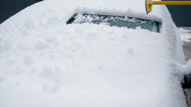 Neve Pulita Auto Concentrazione Selettiva Inverno — Video Stock