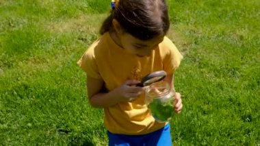 Bir çocuk kavanozdaki büyüteçle doğayı keşfeder. Seçici odaklanma. Çocuk.