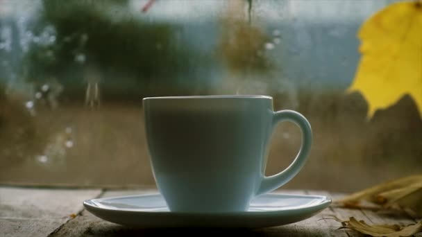 Чашка Чая Мокром Осеннем Окне Выборочный Фокус Напитки — стоковое видео