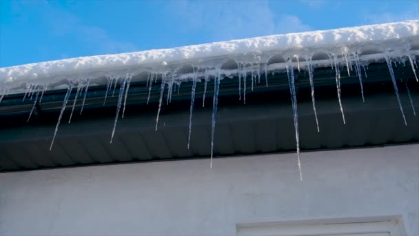 Icicles Hang Roof Selective Focus Winter — Stock Video