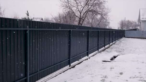 Zewnątrz Pada Śnieg Selektywne Skupienie Zima — Wideo stockowe