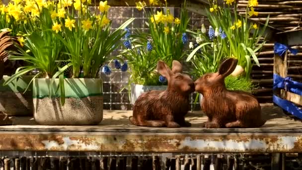 Фігурки Кроликів Квітів Вибірковий Фокус Тварина — стокове відео