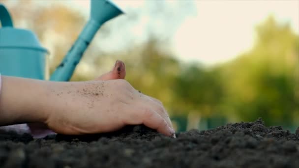 Niño Está Plantando Una Planta Jardín Enfoque Selectivo Naturaleza — Vídeos de Stock