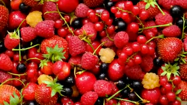 Belles Baies Rouges Sur Table Concentration Sélective Produits Alimentaires — Video