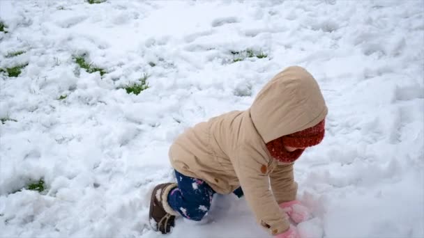 Crianças Brincam Neve Foco Seletivo Inverno — Vídeo de Stock