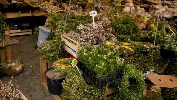 庭の花の店 選択的フォーカス — ストック動画