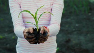 Çocuk bahçeye bir bitki ekiyor. Seçici odaklanma. Doğa.