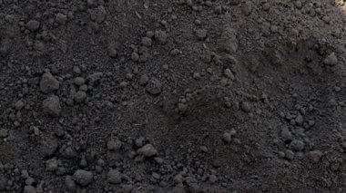 Adam toprağı elinde tutuyor. Seçici odaklanma. Doğa.