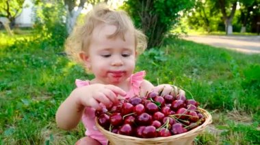 Çocuk bahçede kiraz yiyor. Seçici odaklanma. Çocuk.