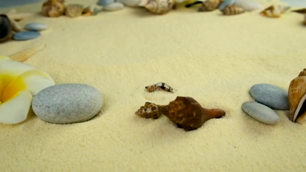 砂のスパのコンセプトを背景に 選択的集中 — ストック動画
